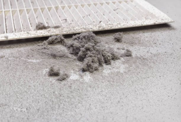 Best Best Air Duct Cleaning Company  in Clearview, WA