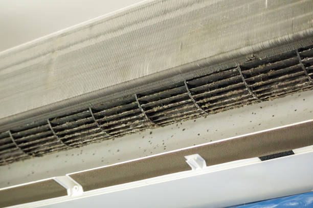 Best Dryer Vent Cleaning Services  in Clearview, WA